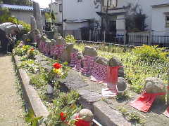 �������̒n������